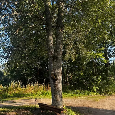Suitsusaun Luksustelt