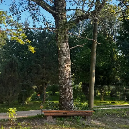 Luksustelt Suitsusaun Puka